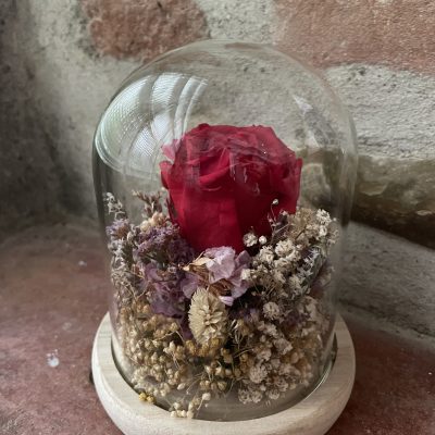 cloche rose éternelle