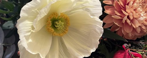 fabriquedanais-creations-bouquet-muret