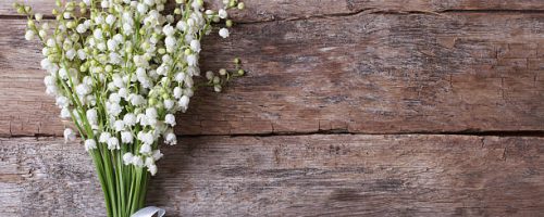 muguet-fleuriste-muret